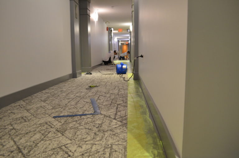 Remdal interior upgrade carpet replacement Coquitlam